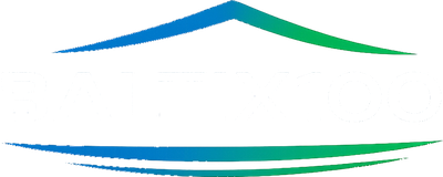 BALTIX100 logotipas